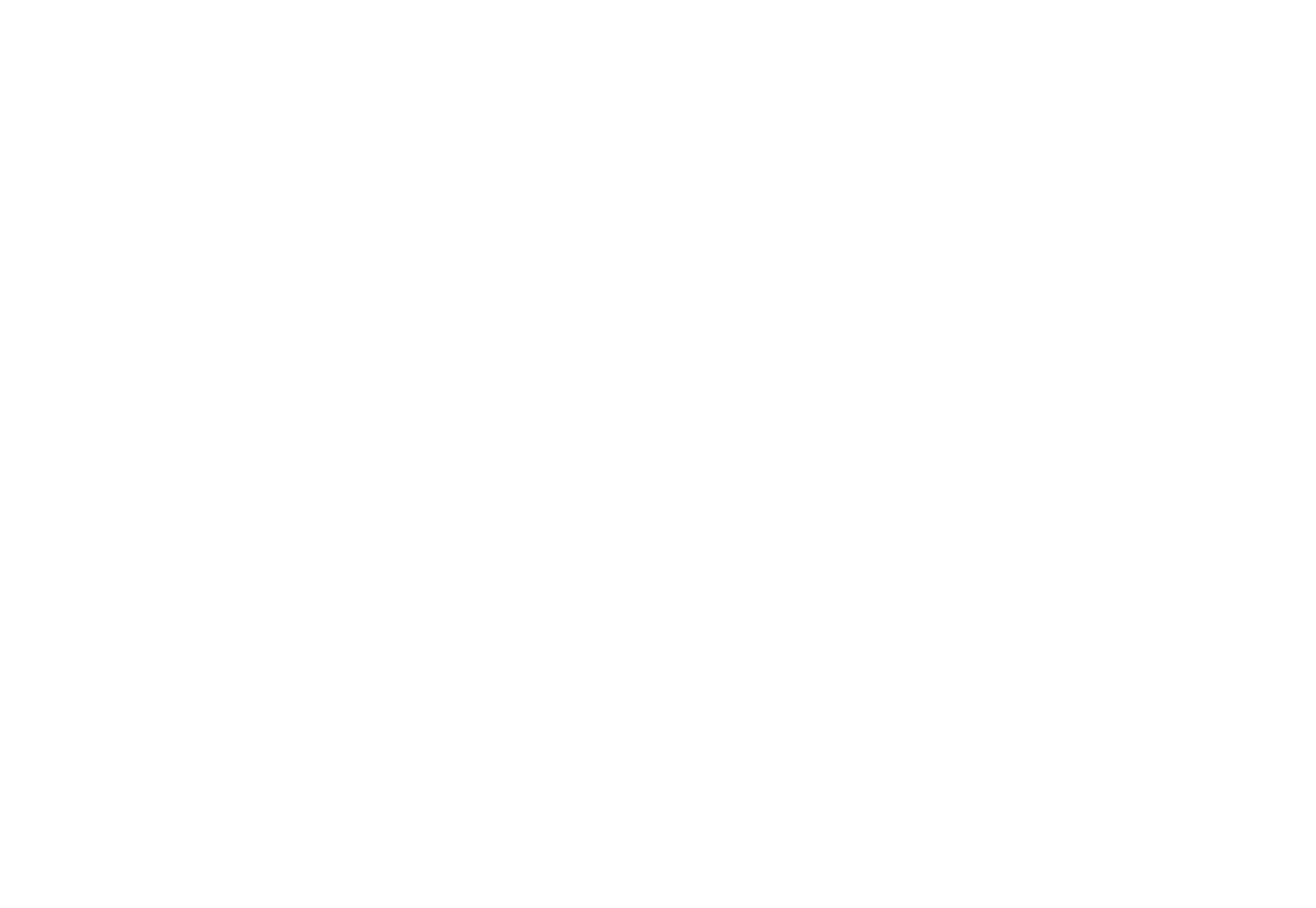 Bright Mountain logo