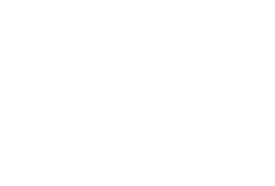 bright stream logo
